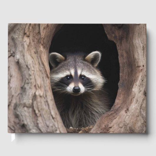 Racoon in boomgrot gastenboek (Voorkant)