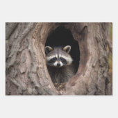 Racoon in boomgrot inpakpapier vel (Voorkant 2)