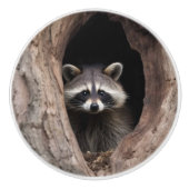 Racoon in boomgrot keramische knop (Voorkant)