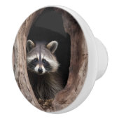 Racoon in boomgrot keramische knop (Rechts)
