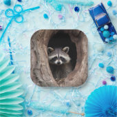 Racoon in boomgrot papieren bordje (Feest)