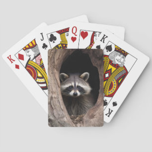 Racoon in boomgrot pokerkaarten