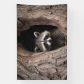 Racoon in boomgrot spandoek (Verticaal)