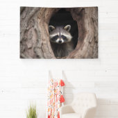 Racoon in boomgrot spandoek (Insitu)