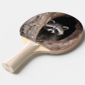 Racoon in boomgrot tafeltennisbatje (Voorkant Gekanteld)