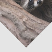 Racoon in boomgrot tissuepapier (Detail)