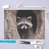 Racoon in boomgrot tissuepapier (Craft)