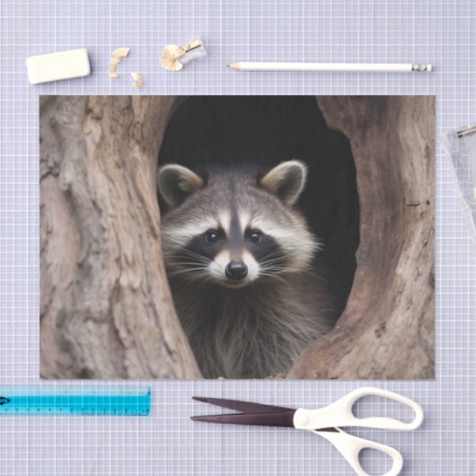 Racoon in boomgrot tissuepapier (Craft)