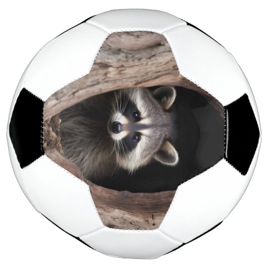Racoon in boomgrot voetbal (Gedraaid)