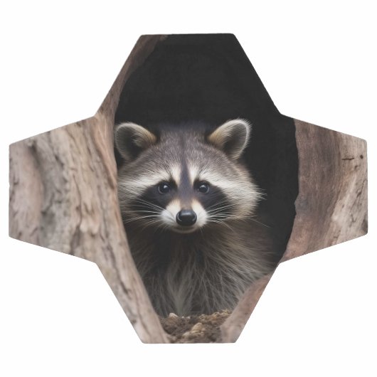 Racoon in boomgrot voetbal (Enkel)