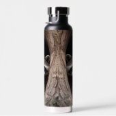 Racoon in boomgrot waterfles (Rechts)