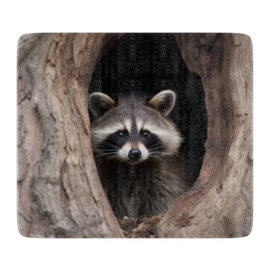 Racoon in Tree Cave Glass Snijplank (Voorkant)