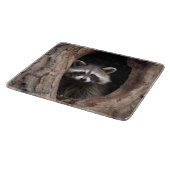 Racoon in Tree Cave Glass Snijplank (Hoek)