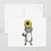 Racoon met zonnebloem briefkaart (Voorkant / Achterkant)