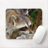 Racoon Mousepad Muismat (Met muis)