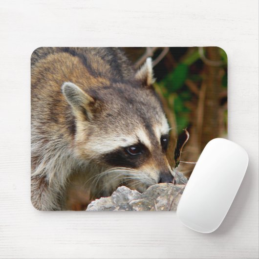 Racoon Mousepad Muismat (Met muis)