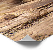 Racoon Poster (Hoek)