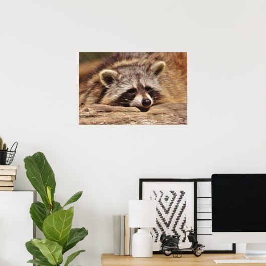 Racoon Poster (Thuiskantoor)