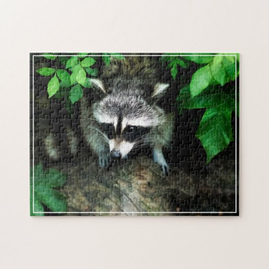 Racoon spel puzzel (Horizontaal)
