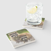 Racoon Stenen Onderzetter (Zijkant)