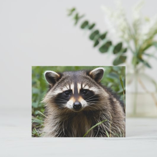 Racoon uitziend briefkaart (Staand voorkant)