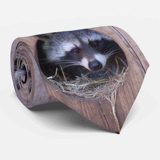 RACOON WASCHBÄR / Foto: Jean-Louis Glineur Stropdas (Opgerold)