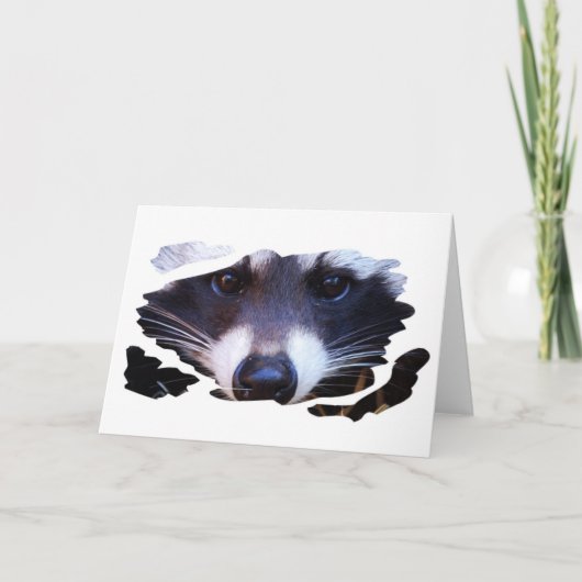 RACOON WASCHBÄR - Photography Jean-Louis Glineur Kaart (Voorkant)