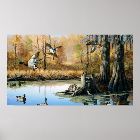 Racoons betreden de Duck Pond Poster (Voorkant)