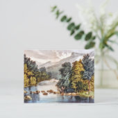Racquet River—Adirondacks Postcard Briefkaart (Staand voorkant)