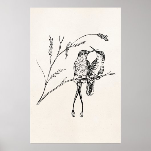  Racquet Tail Hummingbird Personalized Bird Poster (Voorkant)