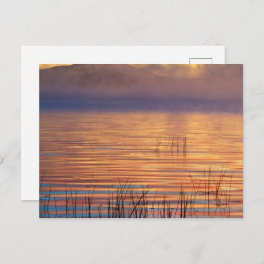 Racquette Lake | Adirondack Mountains in New York Briefkaart (Voorkant / Achterkant)