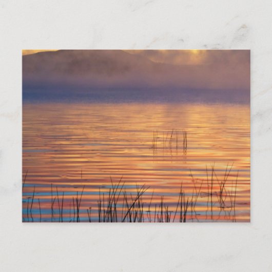 Racquette Lake | Adirondack Mountains in New York Briefkaart (Voorkant)