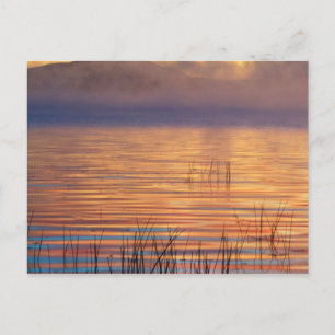 Racquette Lake   Adirondack Mountains in New York Briefkaart