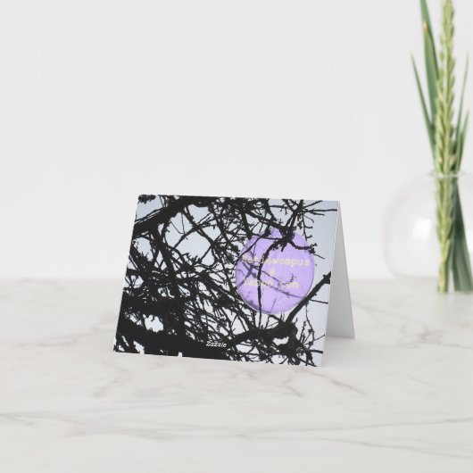 Rad!! Kaart (Achterkant)