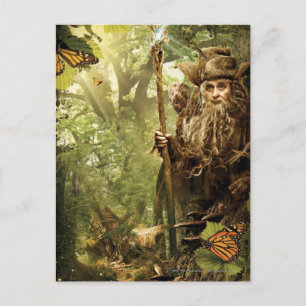 RADAGAST™ in het bos Briefkaart