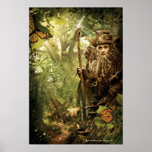 RADAGAST™ in het bos Poster