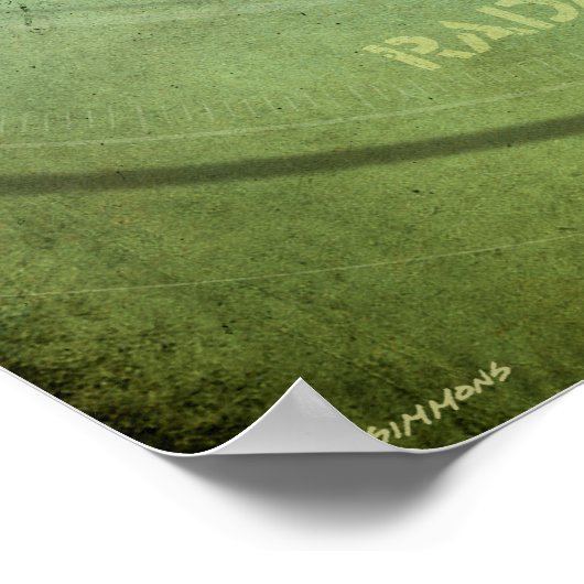 Radarmadillo Poster (Hoek)