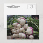 Raden Briefkaart (Voorkant / Achterkant)