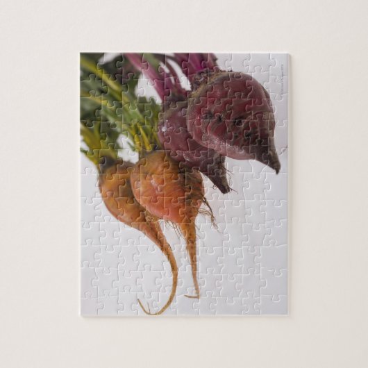 Raden Legpuzzel (Verticaal)