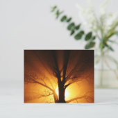 Raden van licht Briefkaart (Staand voorkant)