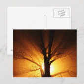 Raden van licht Briefkaart (Voorkant / Achterkant)