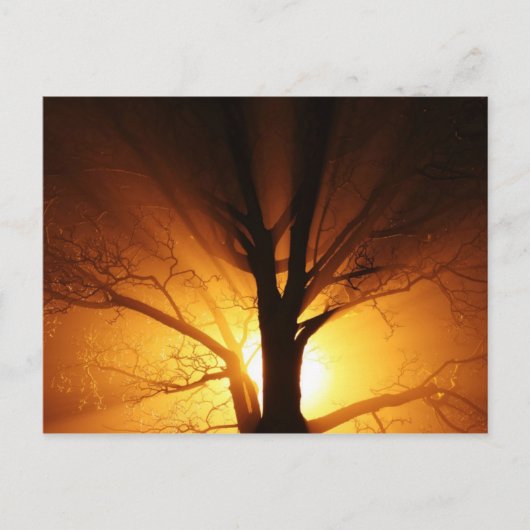 Raden van licht Briefkaart (Voorkant)