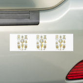 Raderdieren Bumpersticker (Op auto)