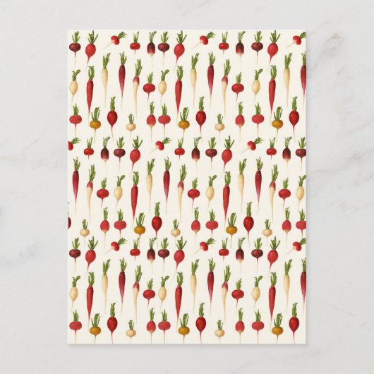 Radiaalvariëteiten van Ernst Benary Briefkaart (Voorkant)