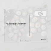 Radiaatlimpet (Cellana radians) Shell Briefkaart (Achterkant)