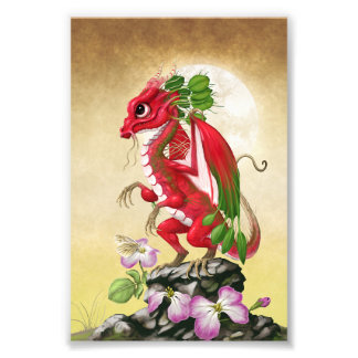 Radiale draak 4x6 afdrukken foto afdruk