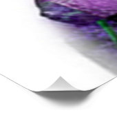 Radiance in Bloom: Bloemen Kate door Carole Benich Perfect Poster (Hoek)