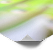 Radiance in Bloom: Morning Agapanthus Poster (Hoek)