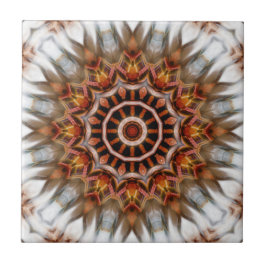 Radiant Bird Feather Kaleidoscope Mandala Tegel Tegeltje