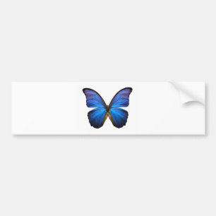 Radiant Blue Butterfly Bumpersticker